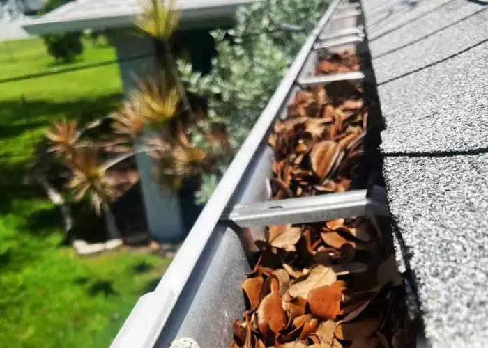 Ocala gutter cleaning home page
